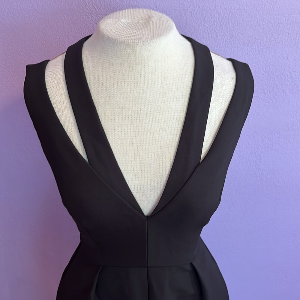 BCBG Max Azria Black Sleeveless Fit & Flare Deep V Little Black Dress